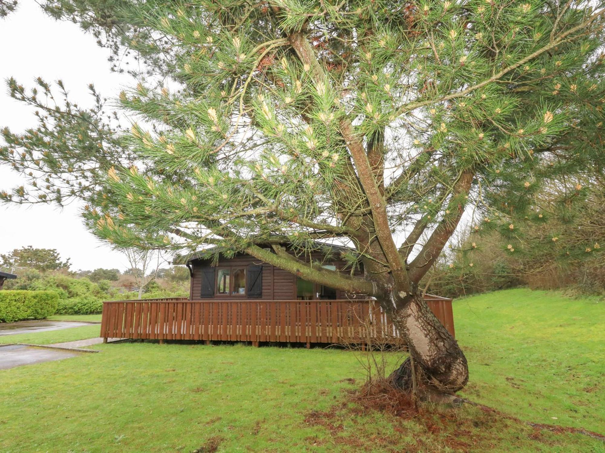16 Amber Wood Lodge ลีมิงตัน ภายนอก รูปภาพ